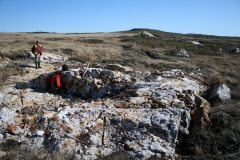 Large 20 metre wide intense silica-quartz vein, gold -silver mineralized outcrop along the Turpin-Pinnacle Trend