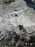 hydrothermal-breccia-whales-back