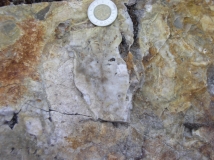 pinnacle-main-au-bearing-silicified-breccia