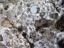 Spectacular hydrothermal, quartz breccia at the Whalesback Prospect