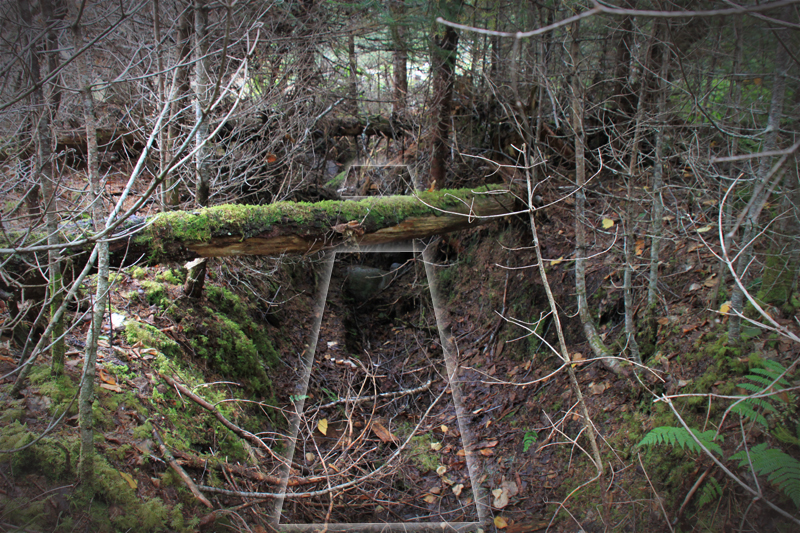 historic-trench