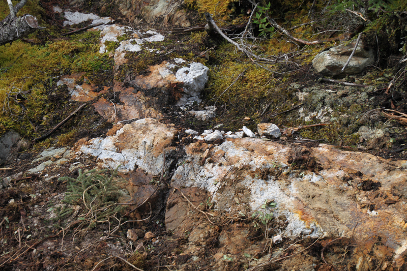 kim-quartz-vein