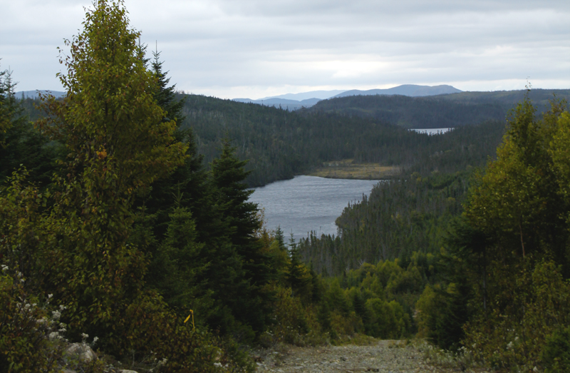 molypeak-project-site